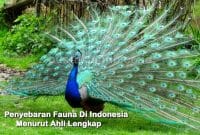 Penyebaran Fauna Di Indonesia Menurut Ahli Lengkap