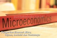 Pengertian Ekonomi Mikro, Tujuan, Devinisi dan Contohnya