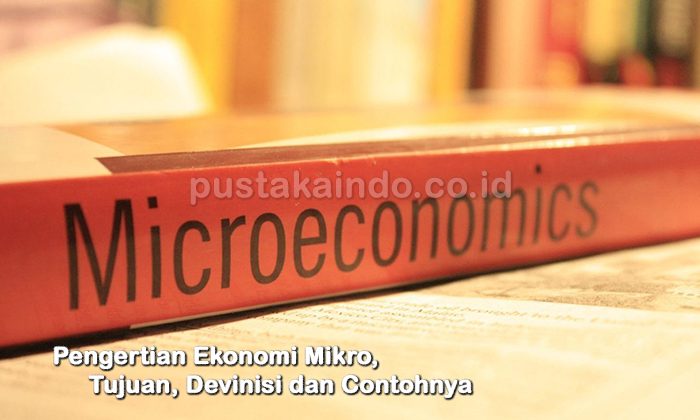 Pengertian Ekonomi Mikro, Tujuan, Devinisi dan Contohnya