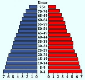 Pengertian Piramida Penduduk, Fungsi dan Jenis-Jenisnya