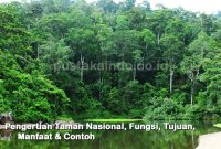 Pengertian Taman Nasional, Fungsi, Tujuan, Manfaat & Contoh