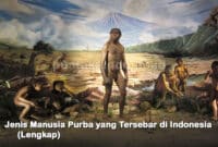 Jenis Manusia Purba yang Tersebar di Indonesia (Lengkap)